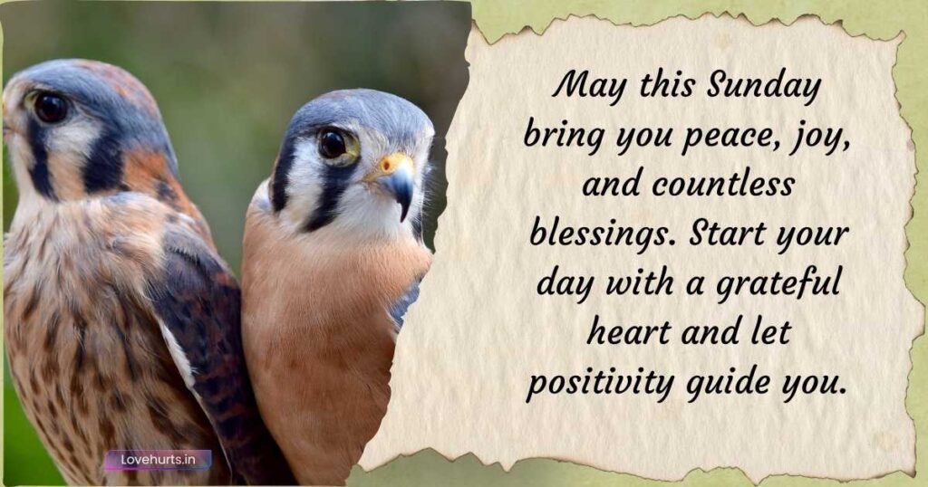 positive good morning tuesday blessings,