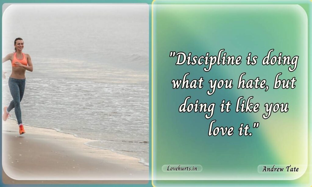 andrew tate discipline quote