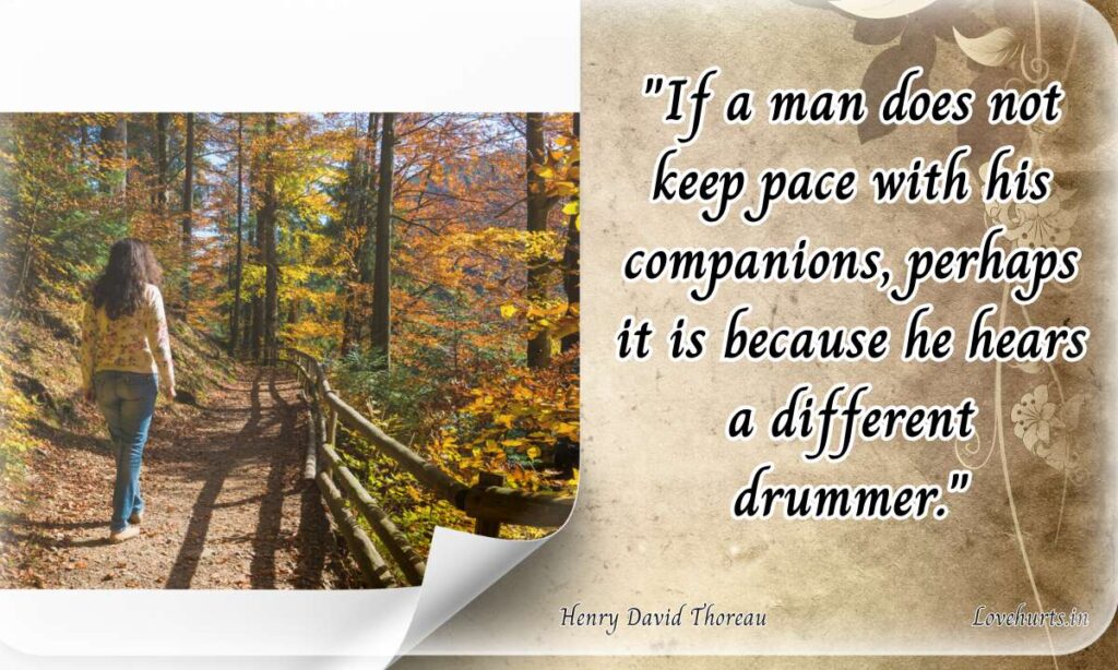 what does henry david thoreau quote mean,