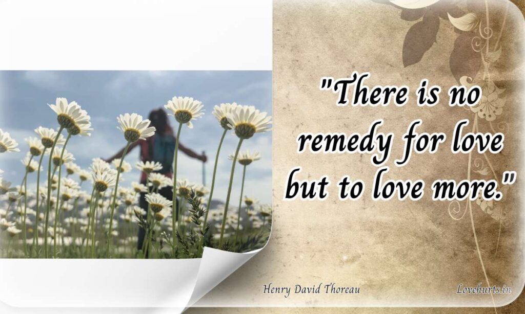 henry david thoreau success quote,