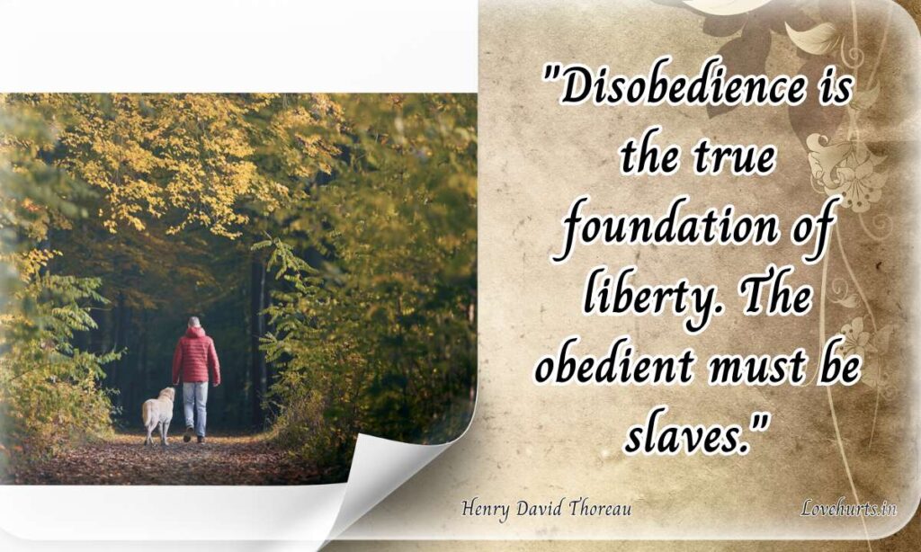 henry david thoreau quotes nature,