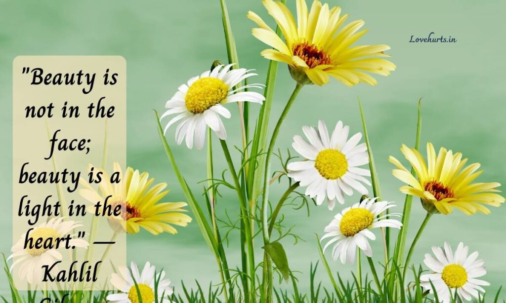 beautiful flower pictures with quotes,