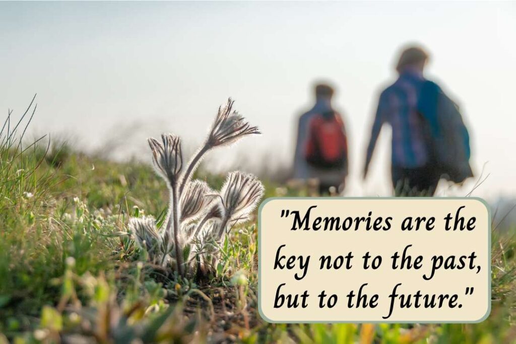 Inspirational Quotes About the Future